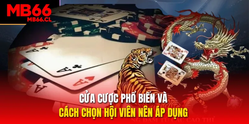 Cửa cược phổ biến và cách chọn hội viên nên áp dụng 