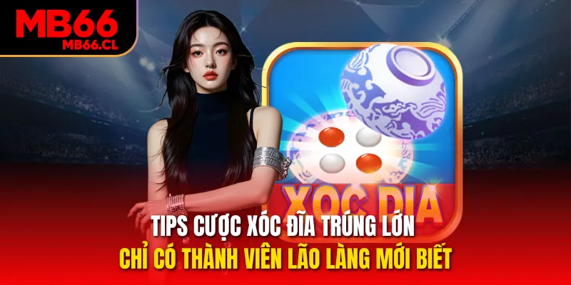 Tips cược Xóc đĩa trúng lớn chỉ có thành viên lão làng mới biết